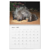 NAMIBIA-Mauerkalender Kalender (Mär 2027)