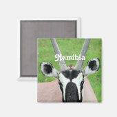 Namibia Oryx Magnet (Vorderseite/Rückseite)