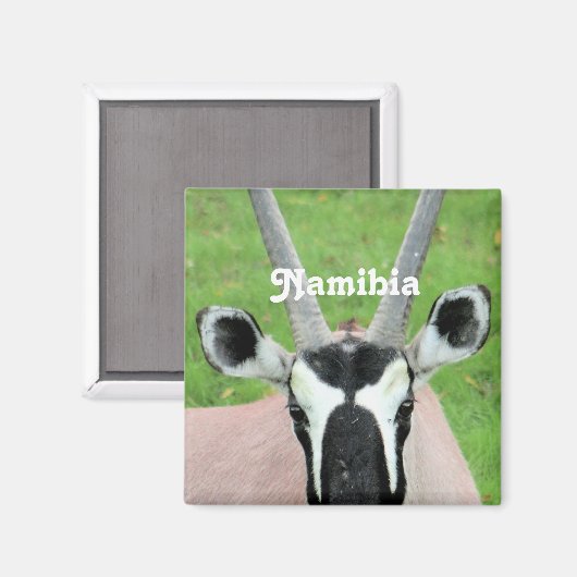 Namibia Oryx Magnet (Vorderseite/Rückseite)