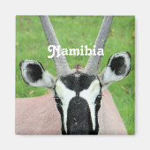 Namibia Oryx Magnet (Vorne)