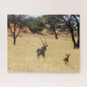 Namibia Safari Jigsaw Puzzle - Wildoryx (Horizontal)