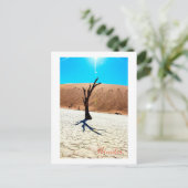 Namibia Sand Dunes Landschaft Sossusvlei Postkarte (Stehend Vorderseite)