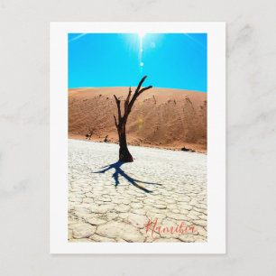 Namibia Sand Dunes Landschaft Sossusvlei Postkarte