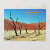 Namibia Sossuslvei Postkarte (Vorderseite)