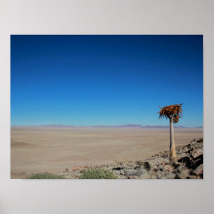 Namibia Tirool Namib Desert Landscape Kokerboom Poster