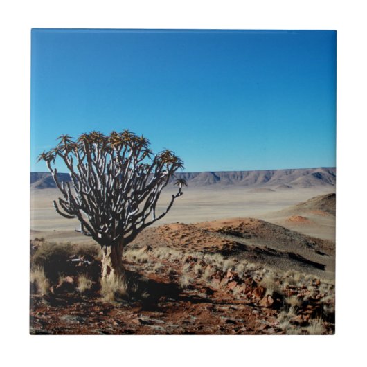 Namibia Tirool Namib Wüste Landschaft Kokerboom Fliese (Vorderseite)