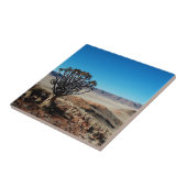 Namibia Tirool Namib Wüste Landschaft Kokerboom Fliese (Seite)