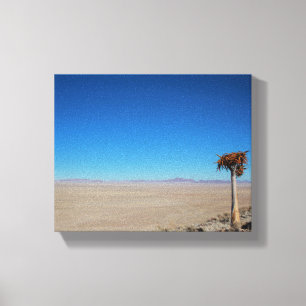 Namibia Tirool Namib Wüste Landschaft Kokerboom Leinwanddruck