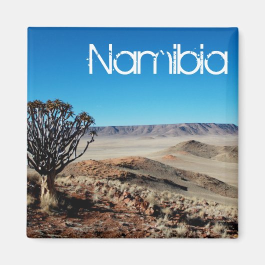 Namibia Tirool Namib Wüste Landschaft Kokerboom Magnet (Vorne)