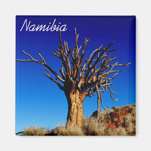 Namibia Tirool Namib Wüste Landschaft Kokerboom Magnet
