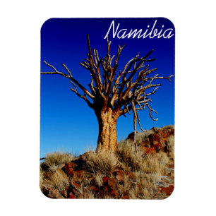 Namibia Tirool Namib Wüste Landschaft Kokerboom Magnet