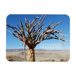 Namibia Tirool Namib Wüste Landschaft Kokerboom Magnet