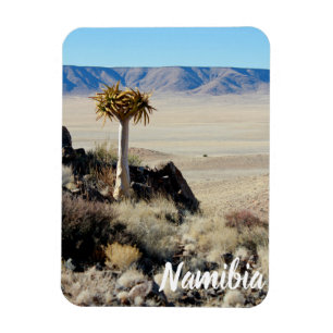 Namibia Tirool Namib Wüste Landschaft Kokerboom Magnet