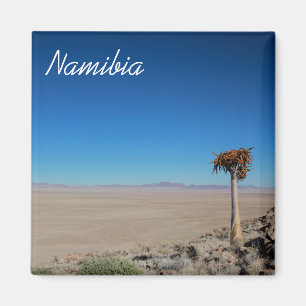 Namibia Tirool Namib Wüste Landschaft Kokerboom Magnet