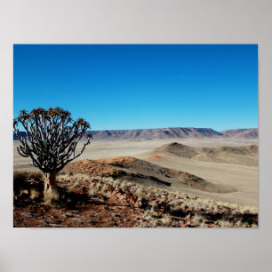 Namibia Tirool Namib Wüste Landschaft Kokerboom Poster
