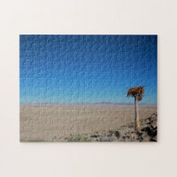 Namibia Tirool Namib Wüste Landschaft Kokerboom