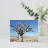 Namibia Tirool Namib Wüste Landschaft Natur Postkarte (Stehend Vorderseite)
