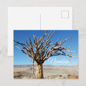 Namibia Tirool Namib Wüste Landschaft Natur Postkarte (Vorne/Hinten)