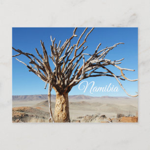 Namibia Tirool Namib Wüste Landschaft Natur Postkarte