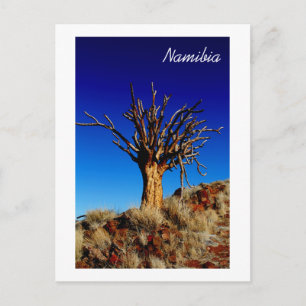 Namibia Tirool Namib Wüste Landschaft Natur Postkarte