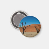 Namibia - versteinerte Bäume am Dead Vlei-Magneten Magnet (Vorderseite/Rückseite)