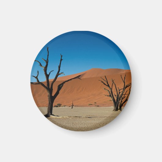 Namibia - versteinerte Bäume am Dead Vlei-Magneten Magnet (Vorne)