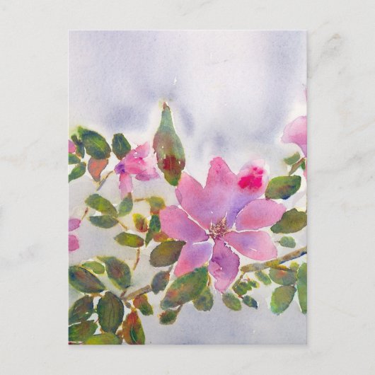 Nanas Rose Postkarte (Vorderseite)