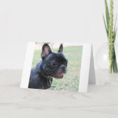 Nancy Happy Birthday French Bulldog Card Karte (Rückseite)