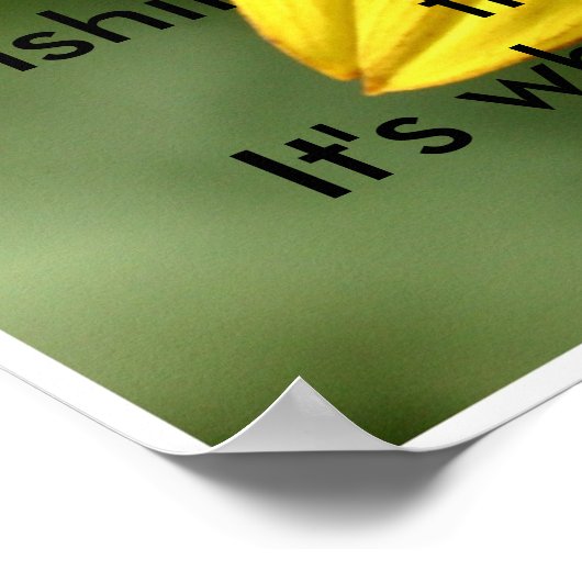 Nancys_sunflower Poster (Ecke)