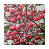 Nandina Busch mit roten reifen Beeren Fliese (Vorderseite)