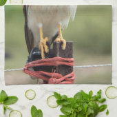 Nankeen Kestrel Geschirrtuch (Gefaltet)