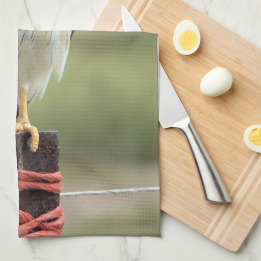 Nankeen Kestrel Geschirrtuch (Viertel Falte)