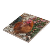 Nankin Zwerghuhn-Huhn Fliese (Seite)