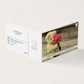 NANNOOS-GESCHÄFTSKARTE VISITENKARTEN (Vorderseite)