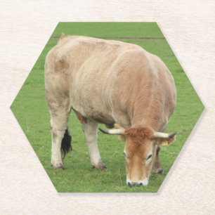 Nantaise Kuh im Feld Untersetzer