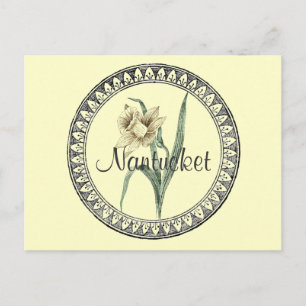 Nantucket Daffodil Parade Postkarte