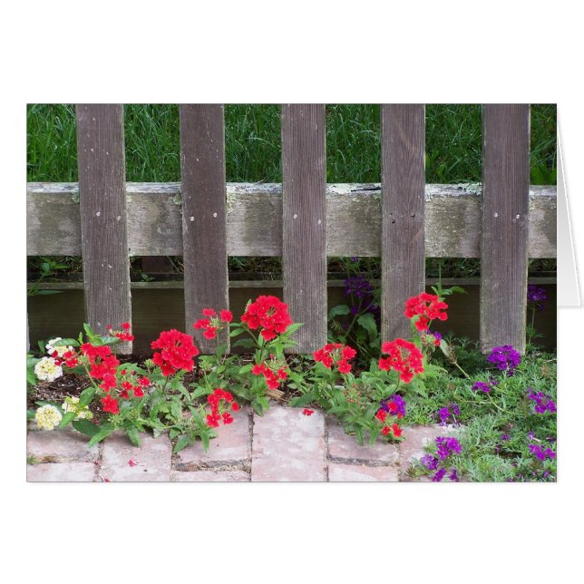 Nantucket Floral Collection (Vorderseite (Horizontal))