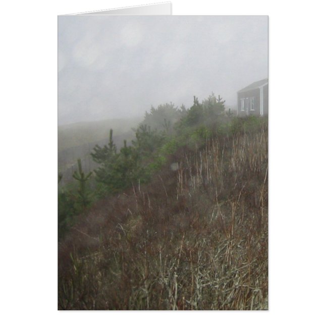 Nantucket Fog (Vorne)