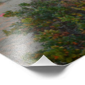 Nantucket Fotodruck (Ecke)