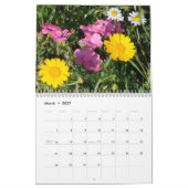 Nanture Kalender 2019 (Mär 2027)