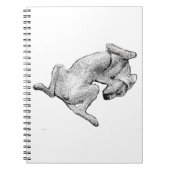Nap Notes – Relaxed Dog Art Notebook Notizblock (Vorderseite)