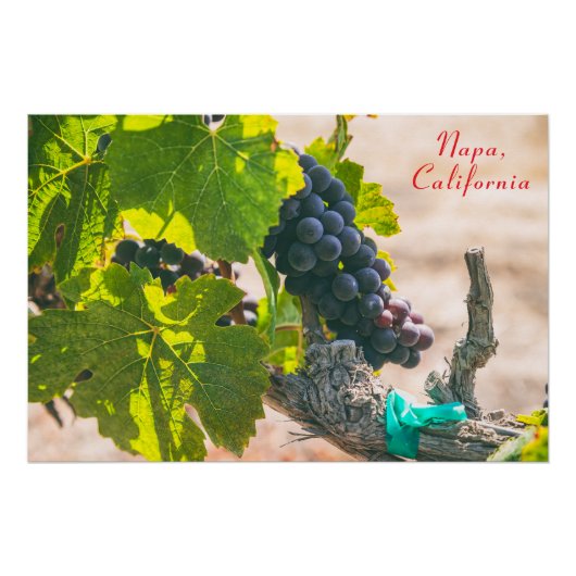 Napa, Kalifornien Poster (Vorderseite)
