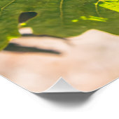 Napa, Kalifornien Poster (Ecke)