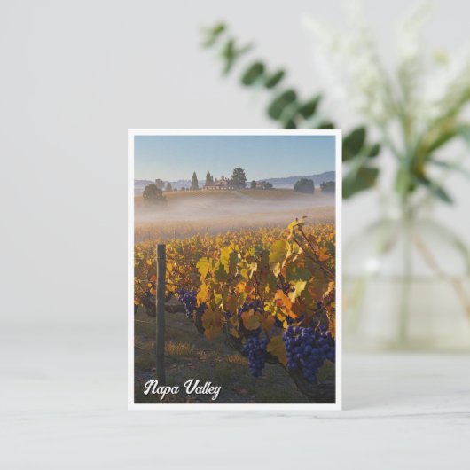 Napa Tal California Weinkeller Postkarte (Stehend Vorderseite)