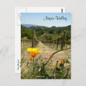 Napa-Tal-Frühling Postkarte (Vorne/Hinten)