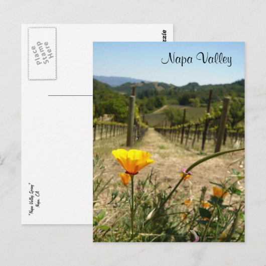 Napa-Tal-Frühling Postkarte (Vorne/Hinten)