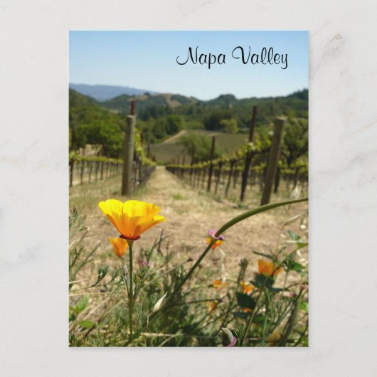 Napa-Tal-Frühling Postkarte (Vorderseite)