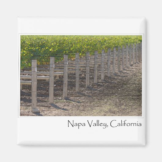 Napa Valle California Weinberg Magnet (Vorne)
