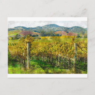 Napa Valle California Weinberg Postkarte