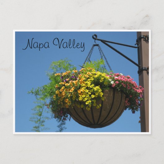 Napa Valley, Ca. Postkarte (Vorderseite)